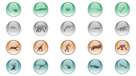 Set of animals icons vector design. Animals icon collection. Evolution illustrationのイラスト素材