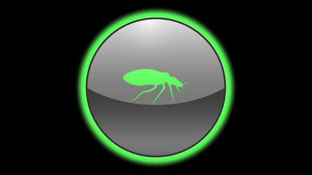 Bug icon vector design. Green neon icons with animals. Animals icons vector.のイラスト素材