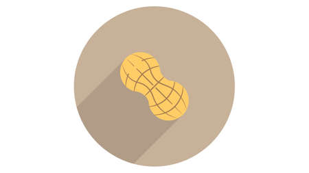Peanut icon vector design. Simple stylish icons with shadowのイラスト素材