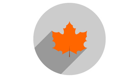 Maple leave icon vector design. Fall icons vectorのイラスト素材