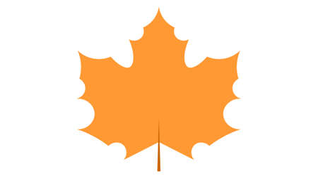 Maple leave icon vector design. Fall icons vectorのイラスト素材
