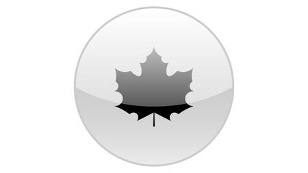 Maple leave icon vector design. Fall icons vectorのイラスト素材