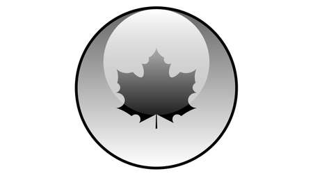 Maple leave icon vector design. Fall icons vectorのイラスト素材