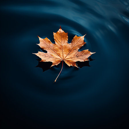 Autumn maple leaf on water surface with ripples. Copy space.の素材