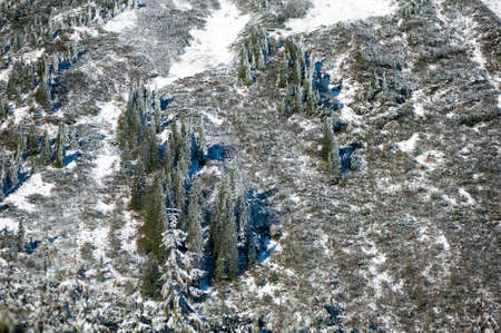 Winter in the national park with mountainsの写真素材