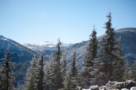 Winter in the national park with mountains