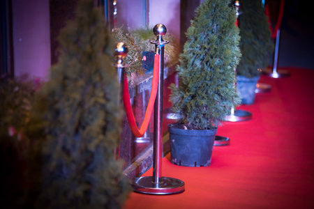 Red Carpet for cinema celebrity