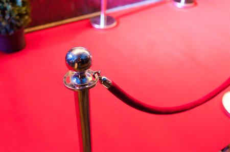 Red Carpet - is traditionally used to mark the route taken by heads of state on ceremonial and...