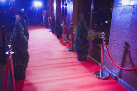 Red Carpet - is traditionally used to mark the route taken by heads of state on ceremonial and...