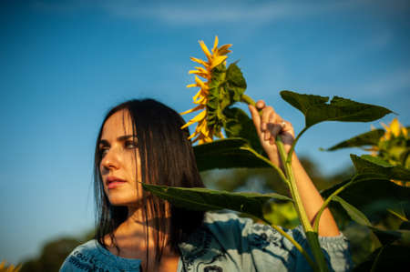 Beautiful young woman on the sunflowers field between flowersの写真素材