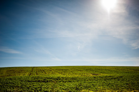 Green field under blue sky with clouds and sun. Landscape.の写真素材