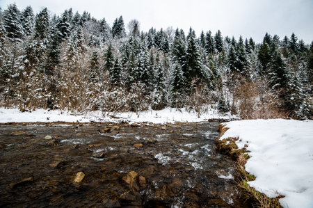 River in the winter forest. Winter landscape with a frozen river.の写真素材