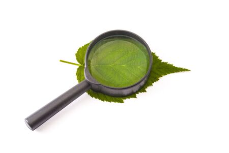 magnifying glass on a sheetの写真素材
