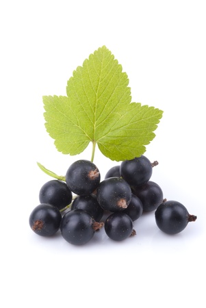 Black currant and green leaf on a white background.の写真素材