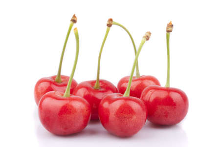 Red cherriesの写真素材