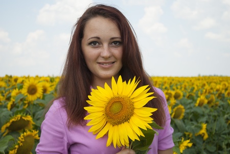 Beautiful girl in a field of sunflowers.の写真素材