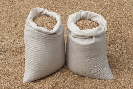 Sacks of wheat.の写真素材