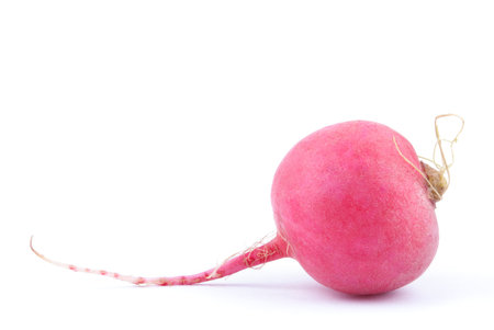 Radishes on a white background.