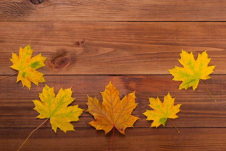 Maple leaves on the wooden background.の写真素材