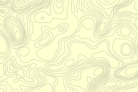 Topographic map of the terrain. Vector illustration .のイラスト素材