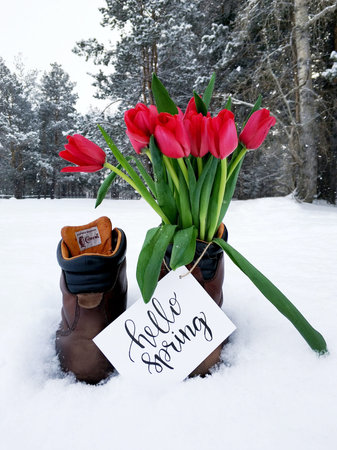 Full hf flowers and roses in springs. Happy easter with eggs and cards. Happy st patrick day. How to...