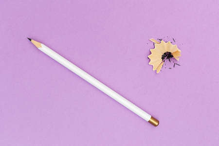 Closeup of dog and puppy faceの写真素材