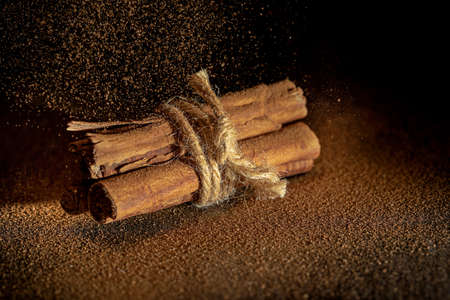 Fresh and healthy food ingredients.の写真素材