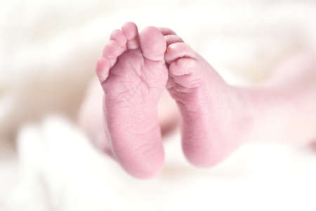 Cute feet of baby. Babies feet.の写真素材