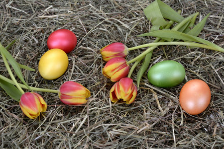 Happy easter sunday.