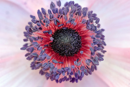 Abstract and background of food and flowers.