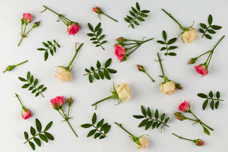 Top view of color full flowers in spring.の写真素材