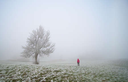 mountain, landscape, nature,  mountains, summer, grass, alps, green, meadow, snow, forest, clouds, travel, field,  valley, spring, panorama, tree, rock, flowers, cloud flower, nature, spring, blossom.の写真素材