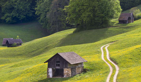 Springtime with greenery and nature.の写真素材