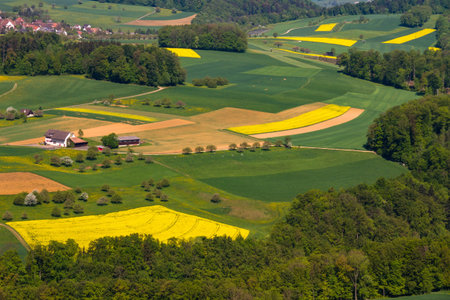 The greenery in the spring season.
