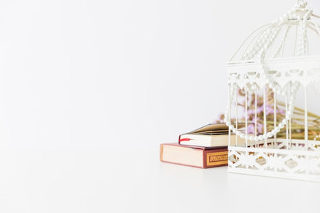 Books and birdcage on white background with copy space for textの写真素材