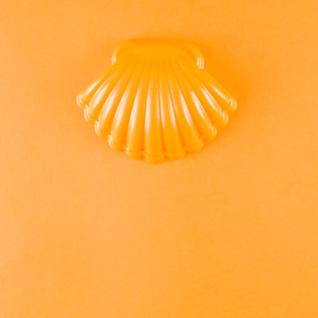 Yellow seashell isolated on orange background. Flat lay, top view.の写真素材