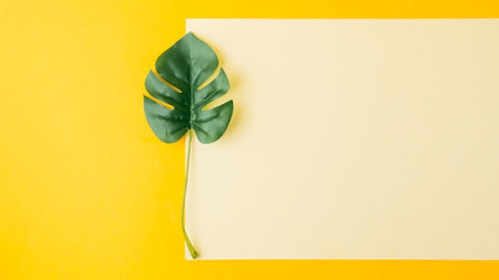 Creative layout made of monstera leaf on yellow background. Flat lay, top view minimal concept.の写真素材