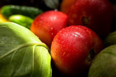 Close-up of fresh vegetables with water drops on a dark backgroundの写真素材