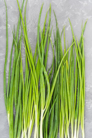 Green onions on a gray background. Top view, copy space.