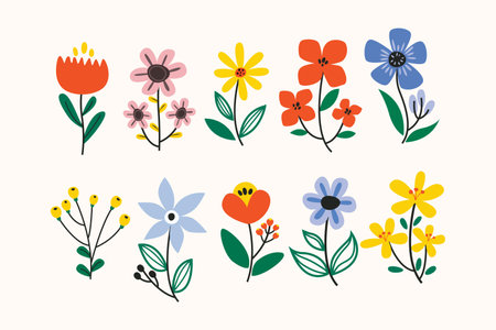 Set of cute hand drawn flowers. Vector illustration in flat style.の写真素材