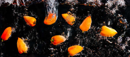 Fresh peppers splashing in water on black backgroundの写真素材