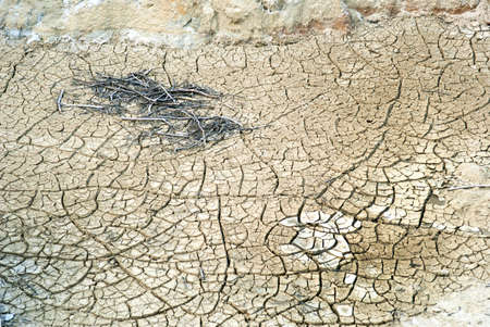 Cracked clay ground into the dry season, textureの写真素材