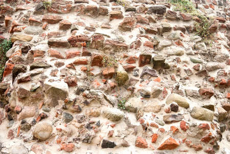 Stone wall with plant growing out of itの写真素材
