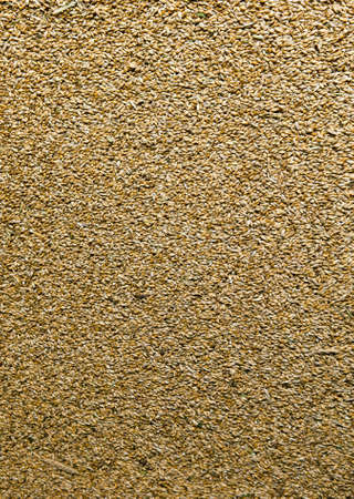 Processed organic wheat grains as agricultural background.の写真素材
