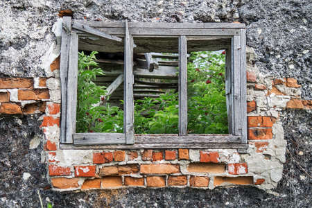 Window of the facade of an old ruined house with wild plantの写真素材