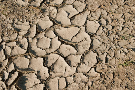 Soil drought cracked into the dry season, textureの写真素材