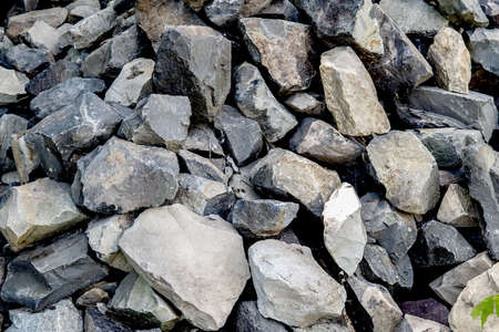 Grey granite stones background and green leafletの写真素材