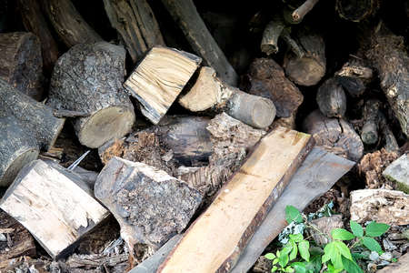 Pile of firewood. Preparation of firewood for the winterの写真素材