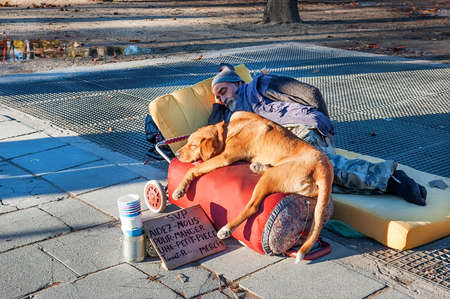Paris, France - November 4, 2012: The unidentified homeless is begging with dogs on Champs Elysees avenueのeditorial素材