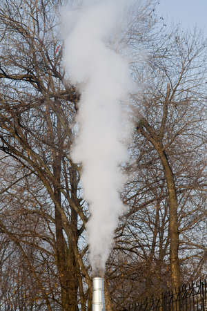 Chimney smoke over the trees in cold winter evening day. Selective focusの写真素材